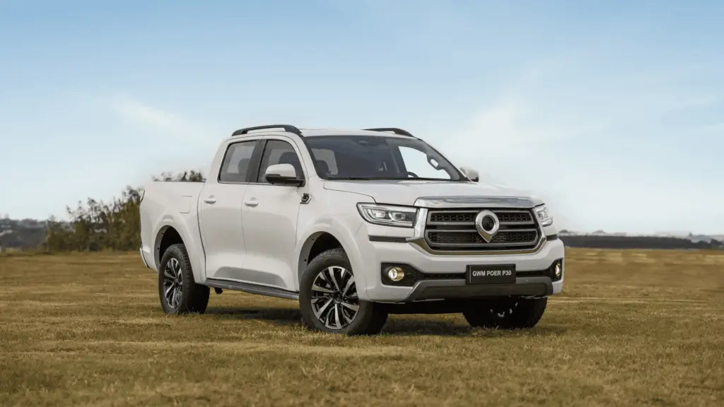 GWM Poer P30