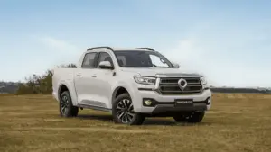 GWM Poer P30
